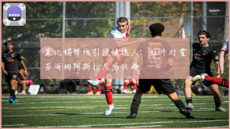 莱比锡锋线引援候选人：红牛对霍芬海姆阿斯拉尼感兴趣
